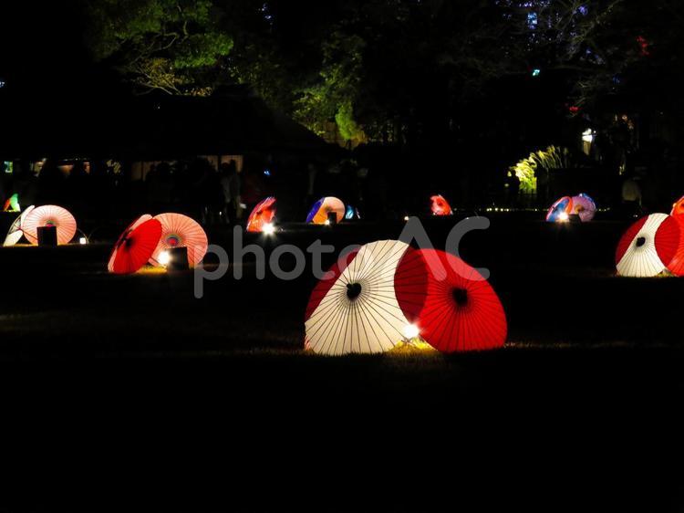 ライトアップされた和傘〜岡山後楽園 後楽園,和傘,秋の写真素材