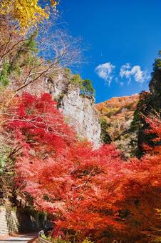 奥多摩の紅葉 奥多摩,紅葉,もみじの写真素材