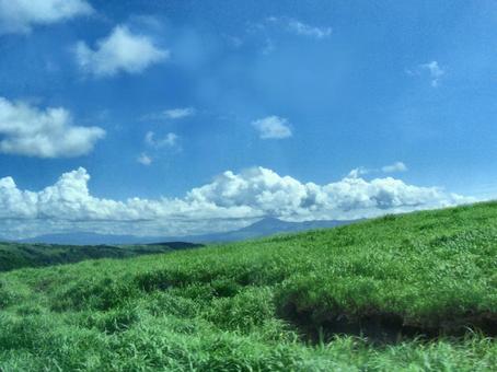 草原ボケ背景-75の写真