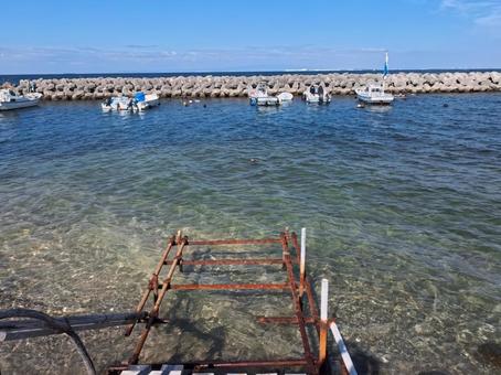 海 海岸,海,防波堤の写真素材