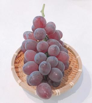 葡萄 葡萄の写真