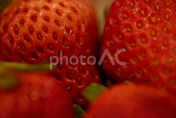 みずみずしい苺のクローズアップ いちご,苺,果物の写真素材
