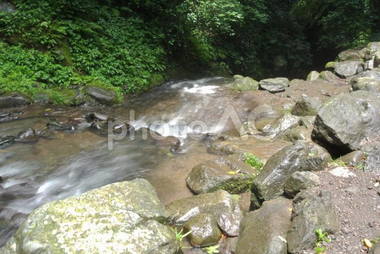 森の中の川 川,森,山の写真素材