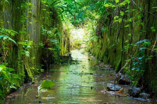 山の中の用水路 山の中の用水路 用水路,流れる水,水路の写真素材