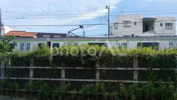 横浜線の電車 電車,横浜線,待ちましたの写真素材