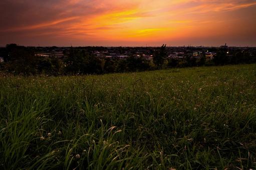 生い茂る原っぱと夕焼け 生い茂る原っぱと夕焼け 夕焼け,夕暮れ,夕方の写真素材
