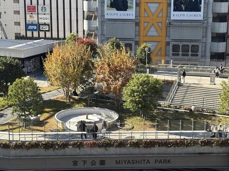 宮下公園 風景,秋,宮下公園の写真素材