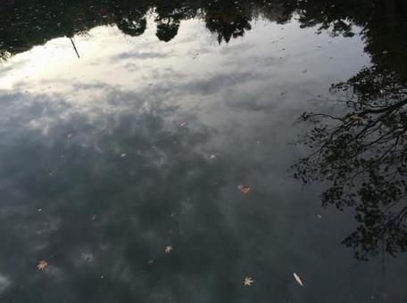 池 池の写真