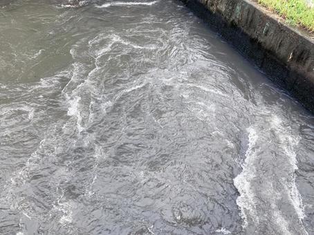 水面 水面の写真