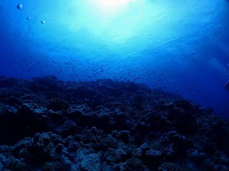 沖縄の海の写真