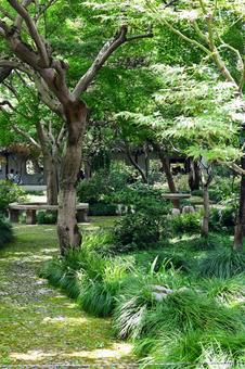 蘇州・拙政園 蘇州・拙政園の写真