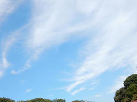 【空の写真】秋空 【空の写真】秋空 秋空,空,雲の写真素材