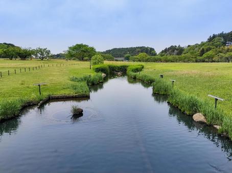 偕楽園公園の四季の原 偕楽園公園の四季の原 偕楽園公園,常磐公園,四季の原の写真素材