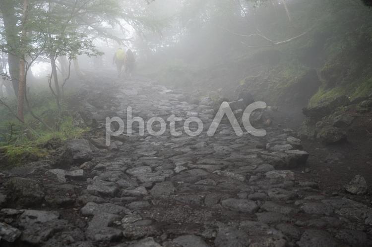 霧に覆われる富士登山道の石畳 風景,自然,日本の写真素材