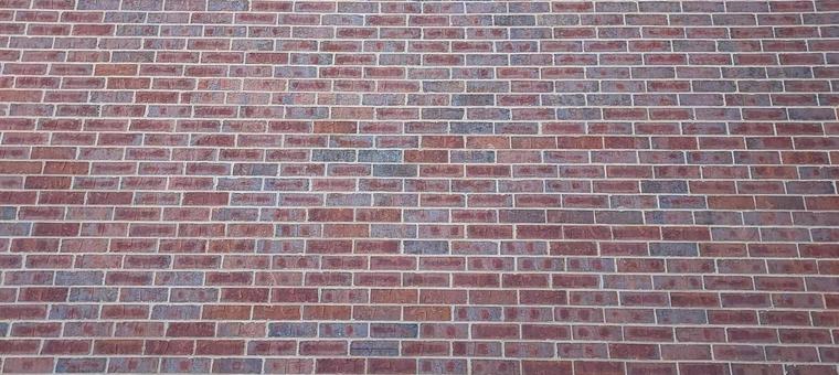 レンガの壁 1 レンガ,壁,赤レンガの写真素材