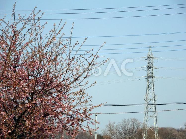 鉄塔がある風景 鉄塔,送電線,電線の写真素材