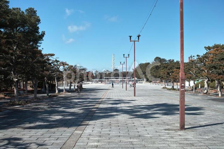浜寺公園イメージ素材 浜寺公園,堺市,高石市の写真素材