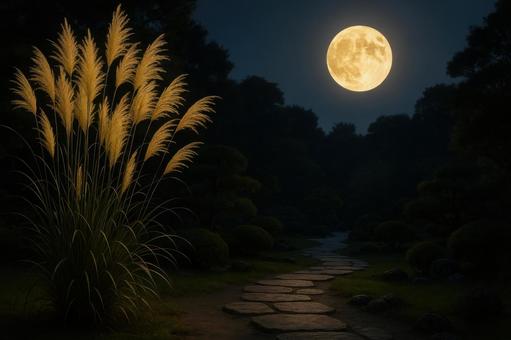 秋の夜空に輝く満月とススキの穂 秋の夜空に輝く満月とススキの穂の写真