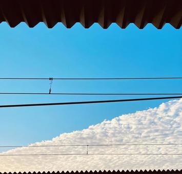 Winter sky Winter sky