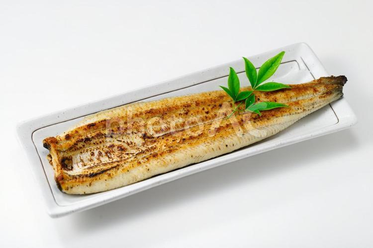 うなぎの白焼き うなぎ,鰻,ウナギの写真素材