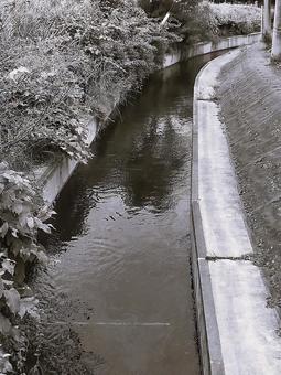 2025年7月の里山6 2025年7月の里山6の写真