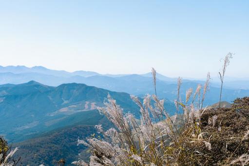 Japanese silver grass on the mountaintop, JPG