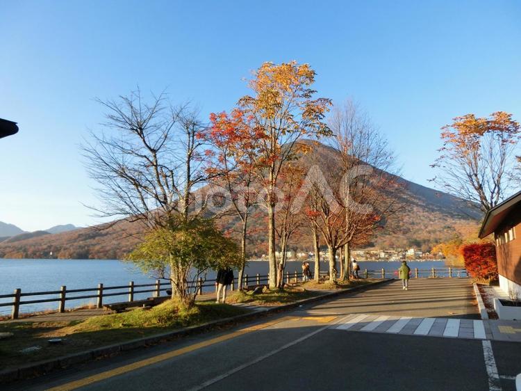 中禅寺湖の風景-9 中禅寺湖,栃木県日光市,日光国立公園の写真素材
