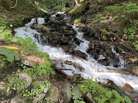 沼田市 強清水の滝 沼田市 強清水の滝 強清水の滝,滝,強清水の写真素材