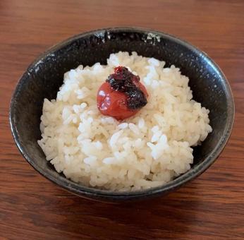 あきたこまちご飯とかつおしそ梅の茶碗飯 あきたこまちご飯とかつおしそ梅の茶碗飯の写真