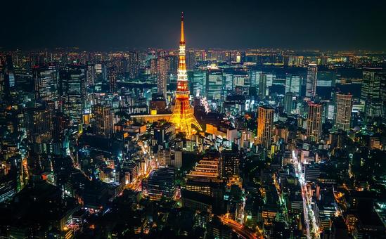 東京の夜景 東京の夜景の写真