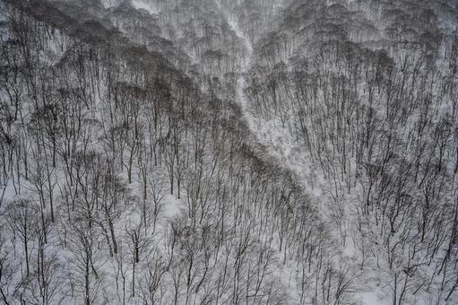 谷川岳ロープウェイから見た景色 谷川岳ロープウェイから見た景色 谷川岳,ロープウェイ,銀世界の写真素材
