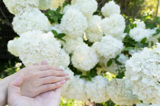 Spring memories of healing and kindness①, JPG Spring memories of healing and kindness①, JPG