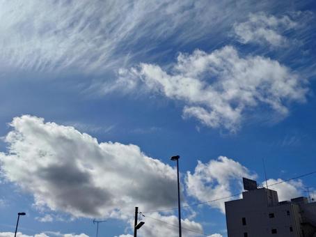 街の空に夏の朝日を受ける雲 街の空に夏の朝日を受ける雲 夏空,雲,青空の写真素材