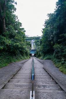 洲崎神社 洲崎神社 洲崎神社,洲崎,館山の写真素材
