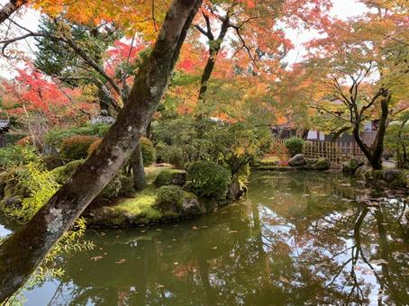 Autumn leaves and Japanese garden, JPG