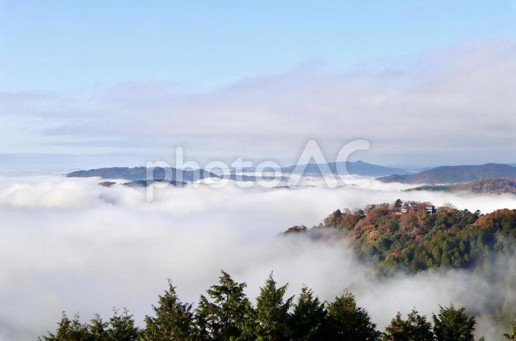 雲海と備中松山城 備中松山城,雲海,岡山県の写真素材