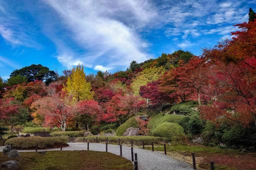 英彦山大権現の紅葉 英彦山,大権現,英彦山神宮の写真素材