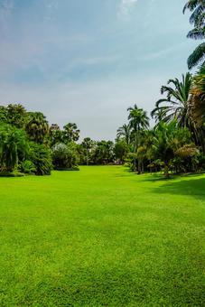 【シンガポール】植物園オーキッドガーデン ナショナル,オーキッドガーデン,ガーデンの写真素材