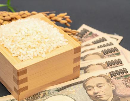 お米 お金 稲穂 お米 お金 稲穂の写真