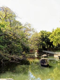 初秋の親水公園・のんびり散歩(江東区) 初秋の親水公園・のんびり散歩(江東区)の写真