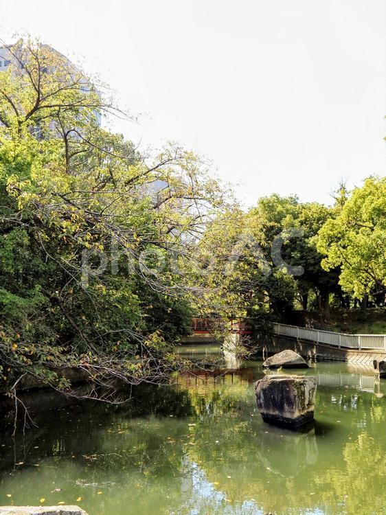 初秋の親水公園・のんびり散歩（江東区） 初秋,東京都,公園の写真素材