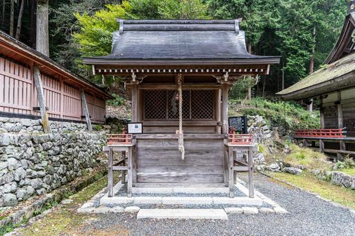 滋賀 日吉大社 西本宮 大宮竈殿社 滋賀 日吉大社 西本宮 大宮竈殿社 日吉大社,日枝社,日吉の写真素材