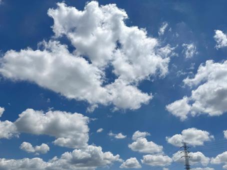 夏の空 空,青空,背景の写真素材