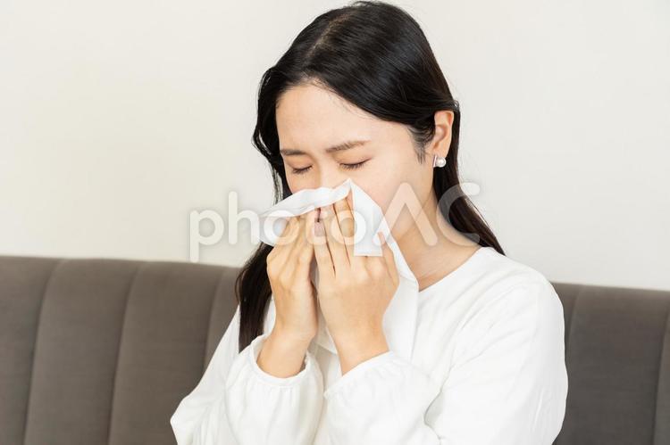 花粉症で鼻をかむアジア人女性01 女性,鼻をかむ,花粉症の写真素材
