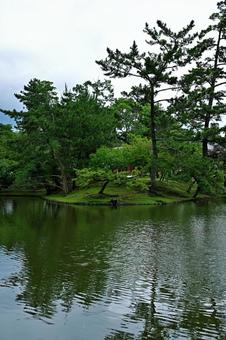 公園の池に浮かぶ島に立つ木々の写真