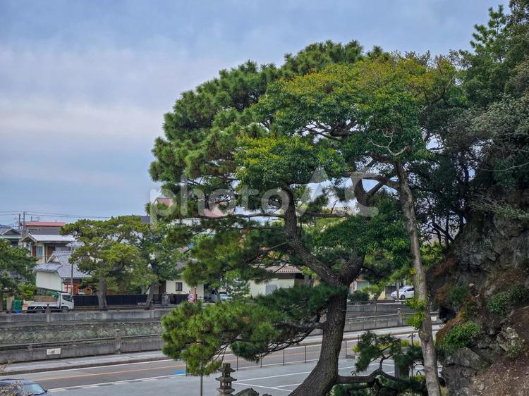 和歌の浦あしべ庵 和歌の浦,和歌の浦あしべ庵,和歌山県の写真素材