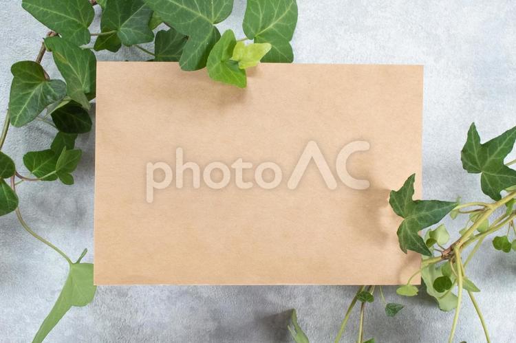 コンクリート背景のメッセージカードと植物 コンクリート,グレー背景,メッセージの写真素材