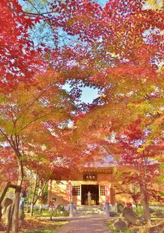 Autumn leaves at Kuhonbutsu, JPG