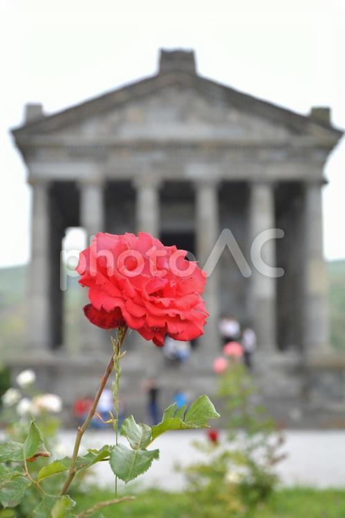 アルメニアのガルニ神殿とお花 ガルニ神殿,ガルニ渓谷,アルメニアの写真素材
