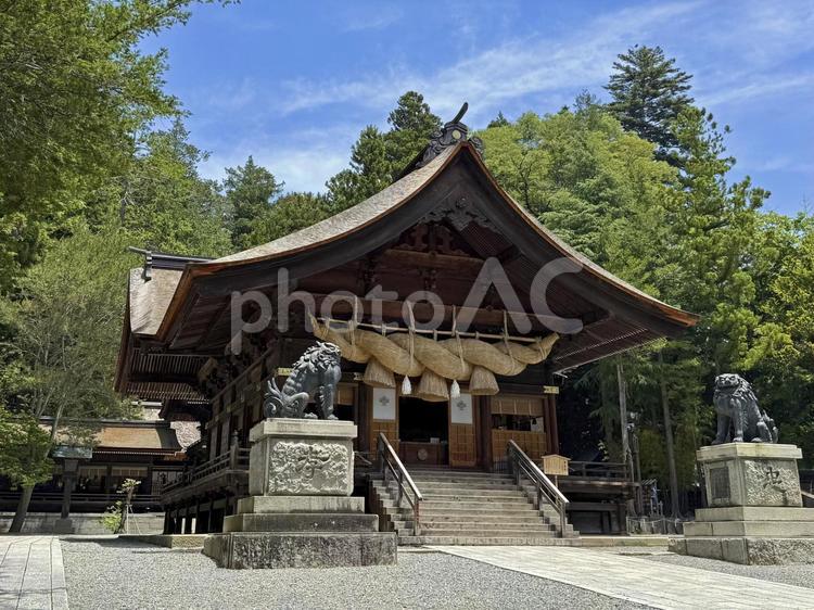 諏訪大社下社秋宮神楽殿_1 諏訪大社,下社,秋宮の写真素材